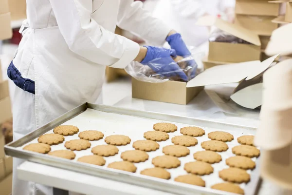 Soubory cookie factory — Stock fotografie