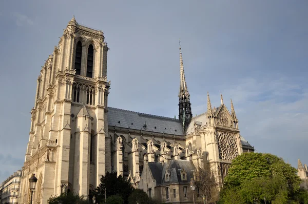 Notre dame w Paryż, Francja — Zdjęcie stockowe