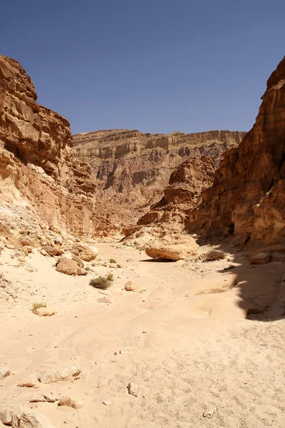 Farbige Schlucht im Sinai, Ägypten — Stockfoto