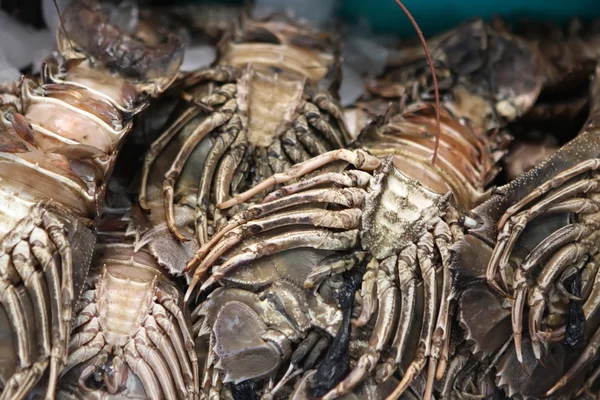 Marché aux poissons — Photo