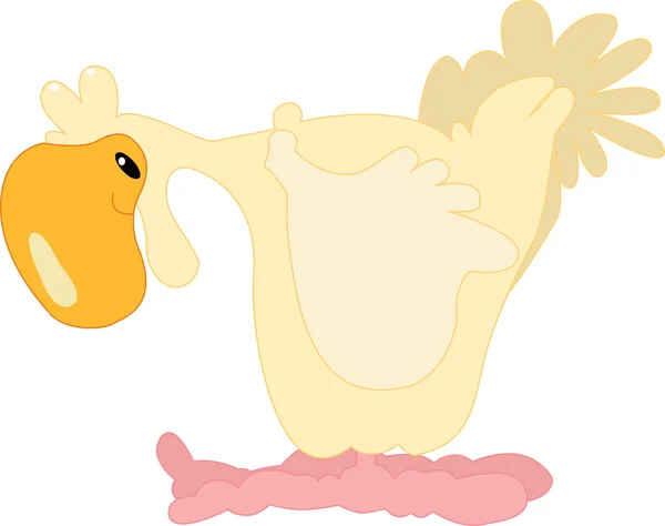 Pollo blanco — Vector de stock