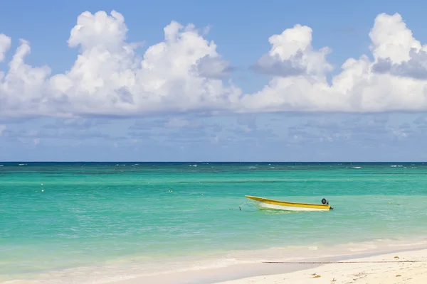 Tropical beach — Stock Photo, Image