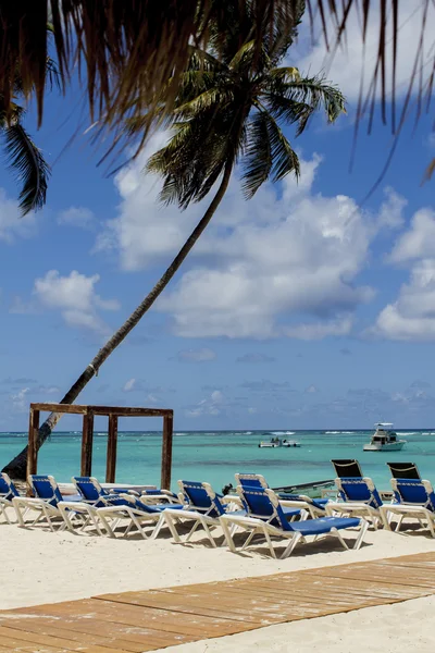 Tropical beach — Stock Photo, Image