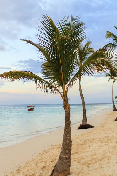 Playa tropical — Foto de Stock