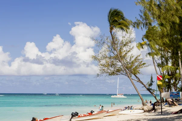 Tropical beach — Stock Photo, Image