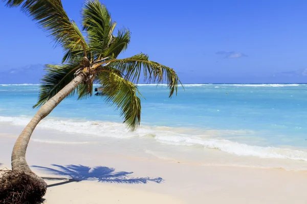 Tropical beach — Stock Photo, Image