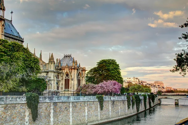 Notre Dame en Paris, Francia — Foto de Stock