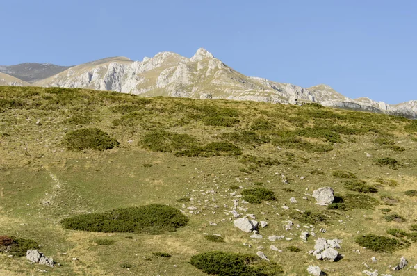 Durmitor, Montenegro — Fotografia de Stock