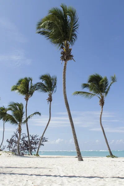 Playa tropical — Foto de Stock