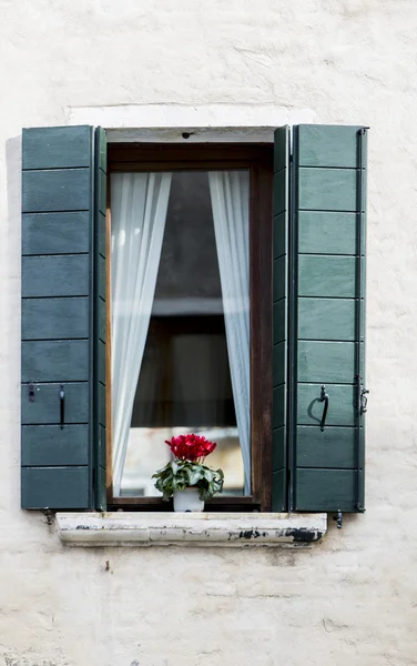 Fenster — Stockfoto