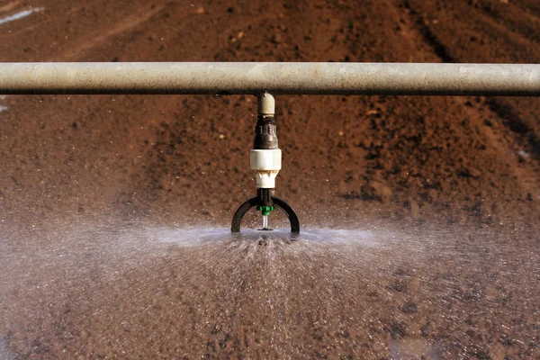 Irrigation — Stock Photo, Image