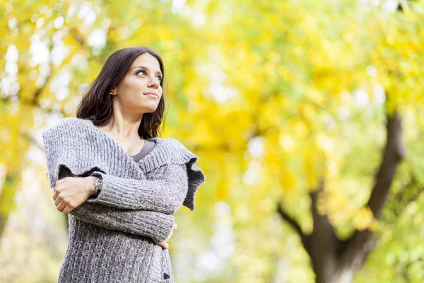 Mujer joven en el bosque de otoño — Foto de Stock