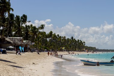 Tropik plaj