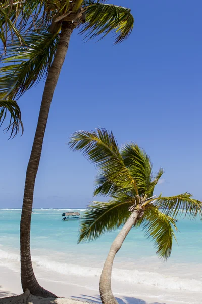 Playa tropical — Foto de Stock