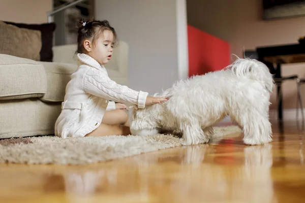 Menina com um cão — Fotografia de Stock