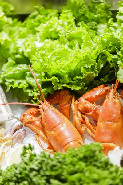 Seafood — Stock Photo, Image