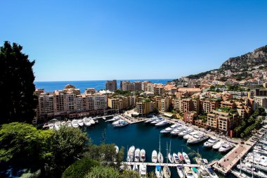 Monte carlo