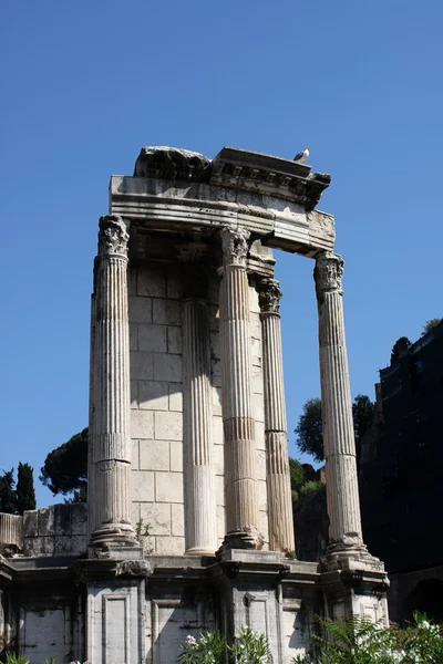 Forum romanum — Stockfoto