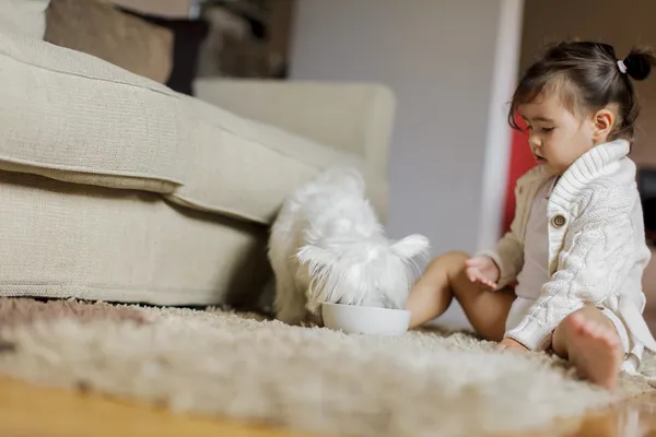 Little girl with a dog — Stock Photo, Image