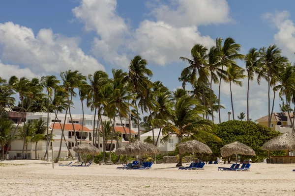 Tropisk strand — Stockfoto