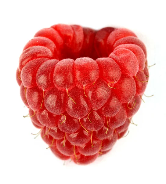 Raspberry — Stock Photo, Image