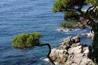 Costa brava İspanya