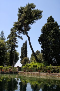 Villa d'este Tivoli, İtalya