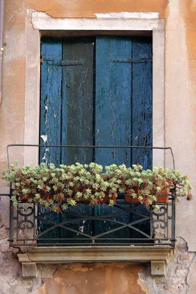 Venezianisches Fenster — Stockfoto