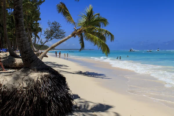 Playa tropical — Foto de Stock