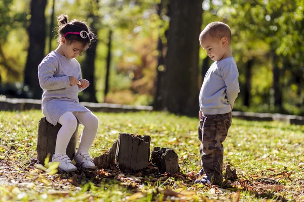 Litle 男の子と女の子秋の森で — ストック写真