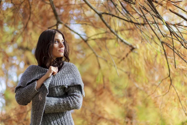 Ung kvinna på hösten skogen — Stockfoto