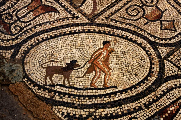 Antiguo mosaico romano de Volubilis, Marruecos — Foto de Stock