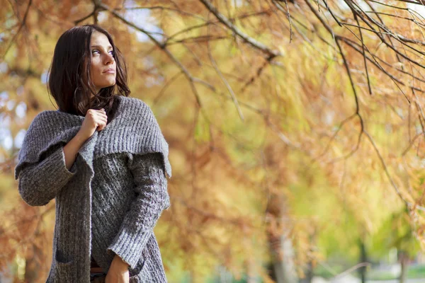 Giovane donna nella foresta autunnale — Foto Stock