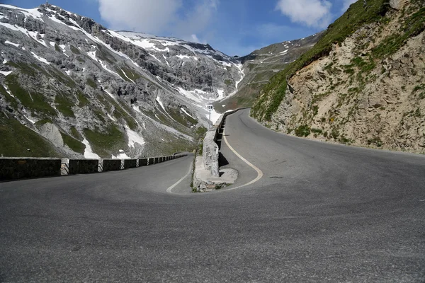 蛇纹石的道路 — 图库照片