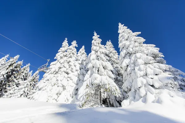 Vinter — Stockfoto