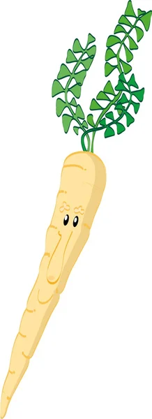 Parsnips — Stock Vector