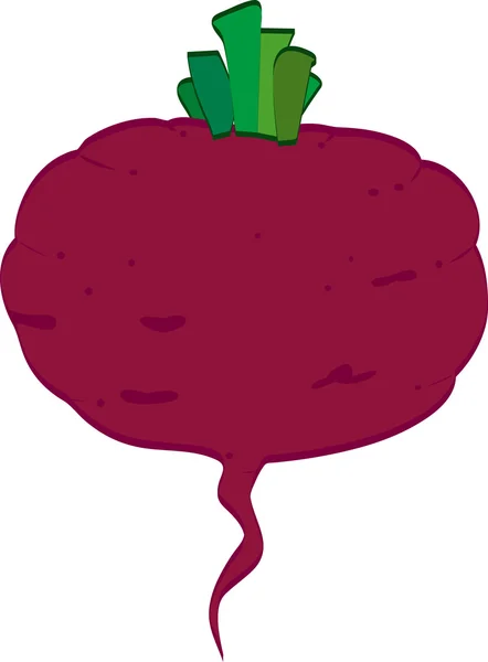 Beetroot — Stock Vector