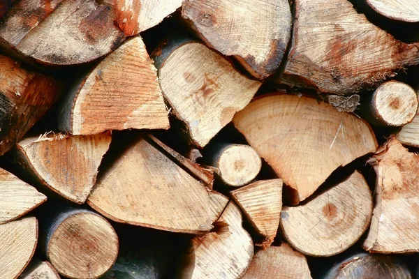 The logs — Stock Photo, Image