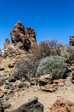 Teide Milli Parkı Tenerife, İspanya
