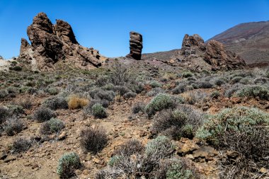 Teide Milli Parkı, teneife, İspanya