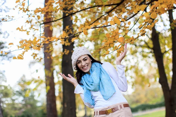 Young woman at autumn forest — Stock Photo, Image