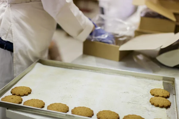 Fábrica de galletas — Foto de Stock