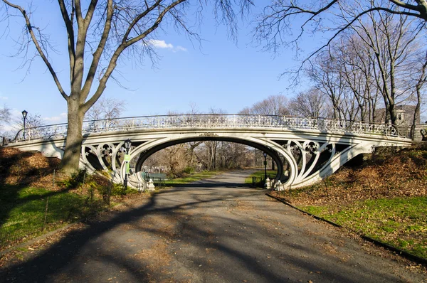 Brücke im Central Park, New York — Stockfoto