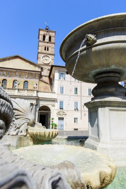 Santa Maria Meydanı, Trastevere Meydanı.