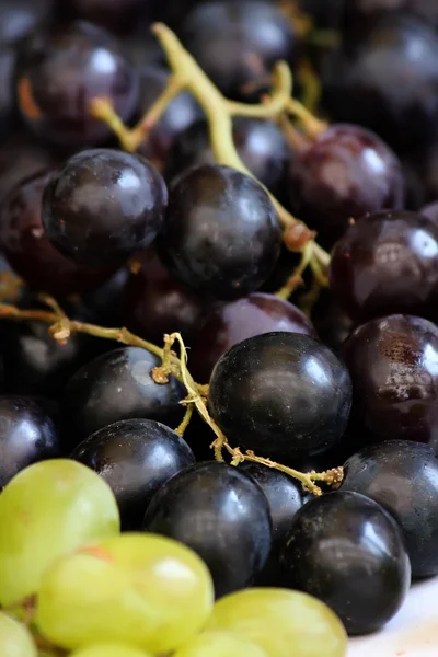 Grape — Stock Photo, Image