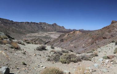 Teide Milli Parkı Tenerife, İspanya