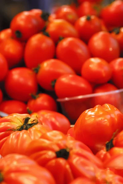 Tomaten — Stockfoto