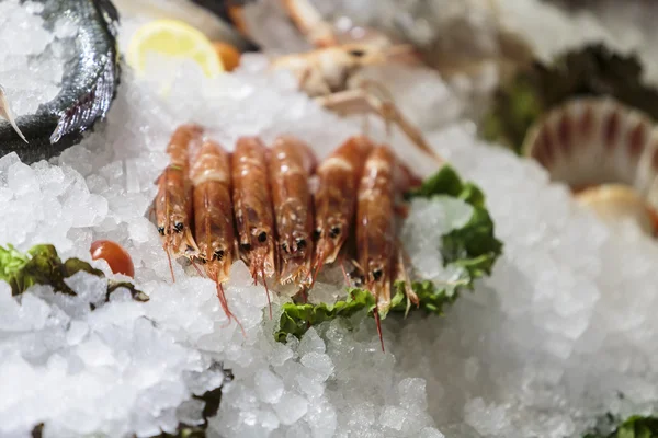 Seafood — Stock Photo, Image