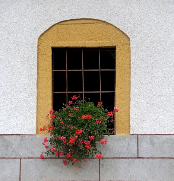 Fenster — Stockfoto