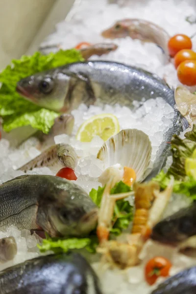 Seafood — Stock Photo, Image